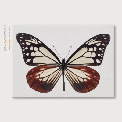 تابلو پروانه - اسپو دکور