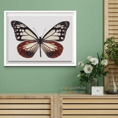 تابلو پروانه - اسپو دکور