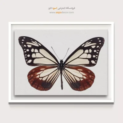 تابلو پروانه - اسپو دکور