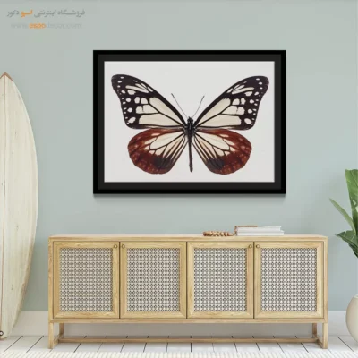 تابلو پروانه - اسپو دکور