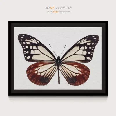 تابلو پروانه - اسپو دکور