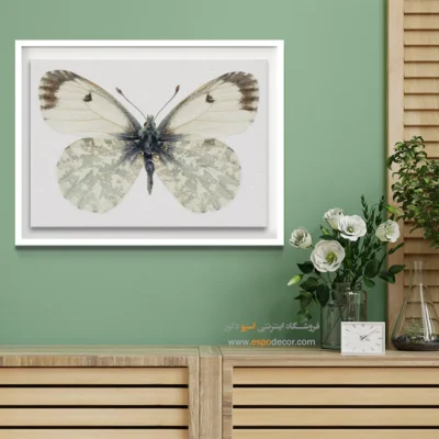 تابلو پروانه - اسپو دکور