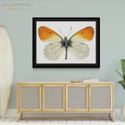 تابلو پروانه - اسپو دکور