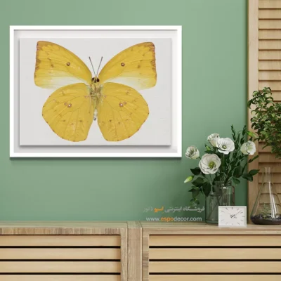 تابلو پروانه - اسپو دکور
