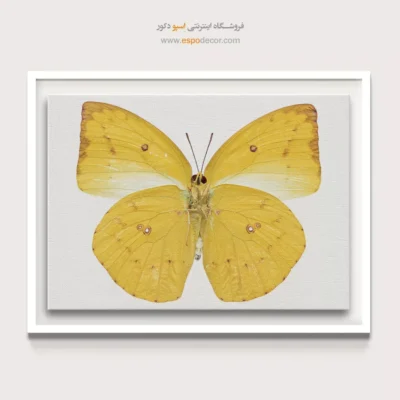 تابلو پروانه - اسپو دکور