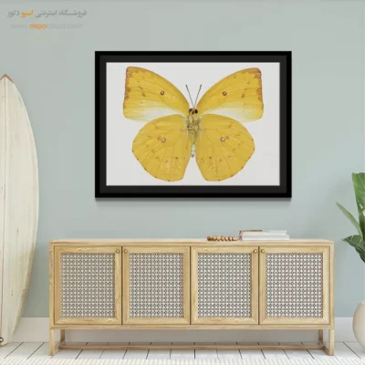 تابلو پروانه - اسپو دکور