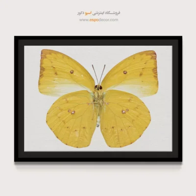 تابلو پروانه - اسپو دکور