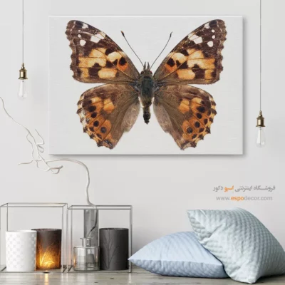 تابلو پروانه - اسپو دکور