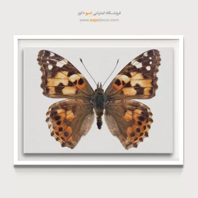 تابلو پروانه - اسپو دکور