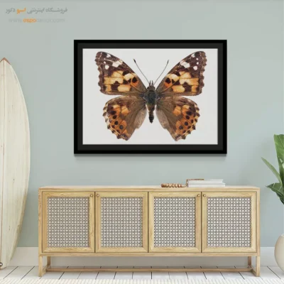 تابلو پروانه - اسپو دکور