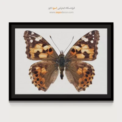 تابلو پروانه - اسپو دکور