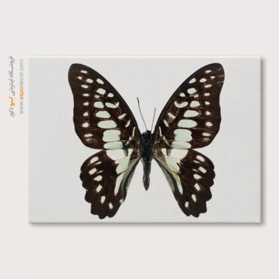 تابلو پروانه - اسپو دکور