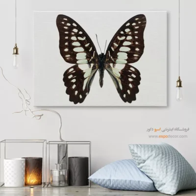 تابلو پروانه - اسپو دکور