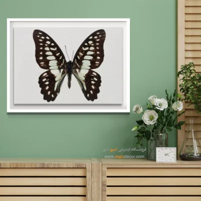 تابلو پروانه - اسپو دکور