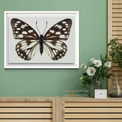 تابلو پروانه - اسپو دکور