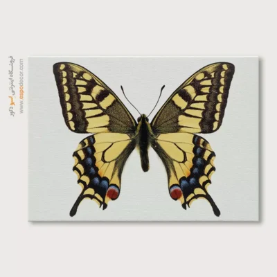 تابلو پروانه - اسپو دکور