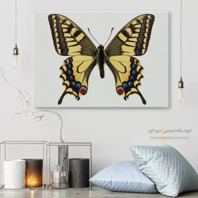 تابلو پروانه - اسپو دکور