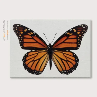 تابلو پروانه - اسپو دکور