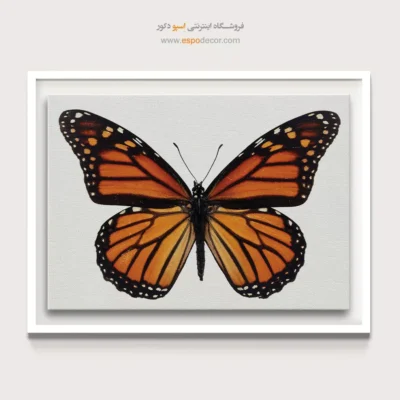 تابلو پروانه - اسپو دکور