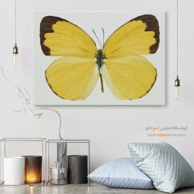 تابلو پروانه - اسپو دکور