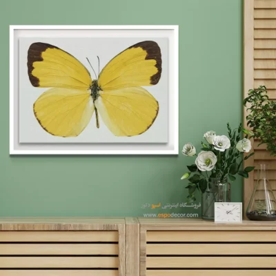تابلو پروانه - اسپو دکور