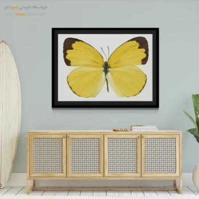 تابلو پروانه - اسپو دکور