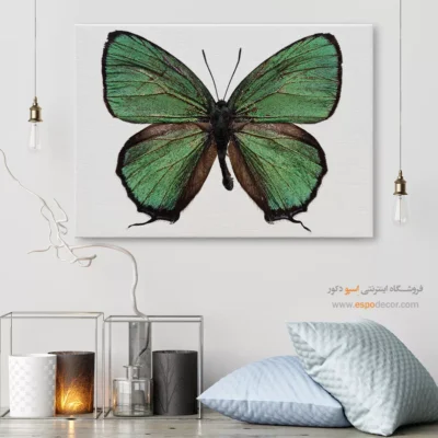 تابلو پروانه - اسپو دکور