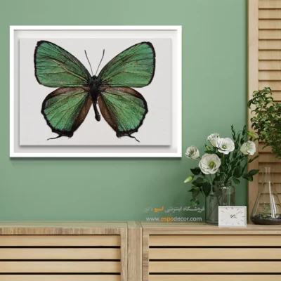 تابلو پروانه - اسپو دکور