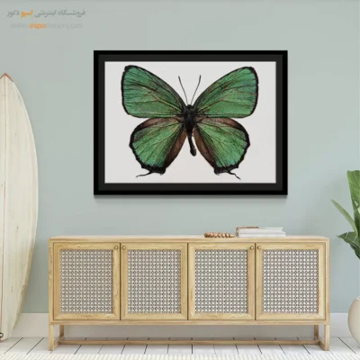 تابلو پروانه - اسپو دکور