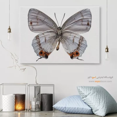 تابلو پروانه - اسپو دکور