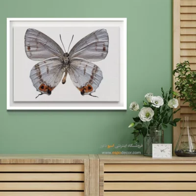 تابلو پروانه - اسپو دکور