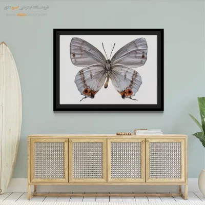 تابلو پروانه - اسپو دکور