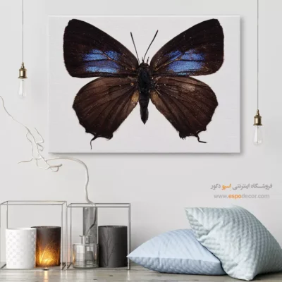 تابلو پروانه - اسپو دکور
