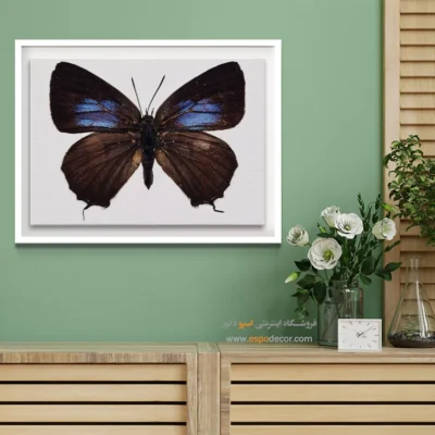 تابلو پروانه - اسپو دکور