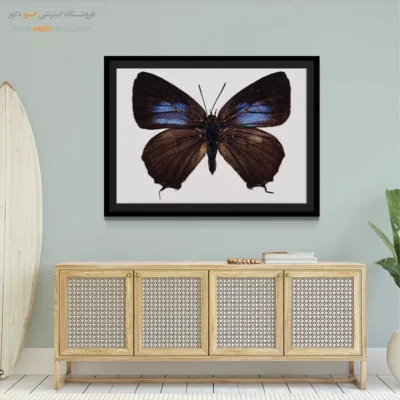 تابلو پروانه - اسپو دکور