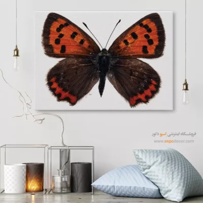 تابلو پروانه - اسپو دکور