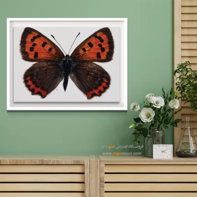 تابلو پروانه - اسپو دکور