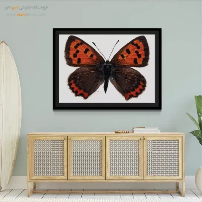 تابلو پروانه - اسپو دکور