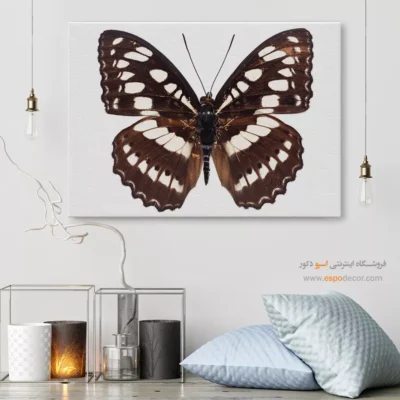 تابلو پروانه - اسپو دکور