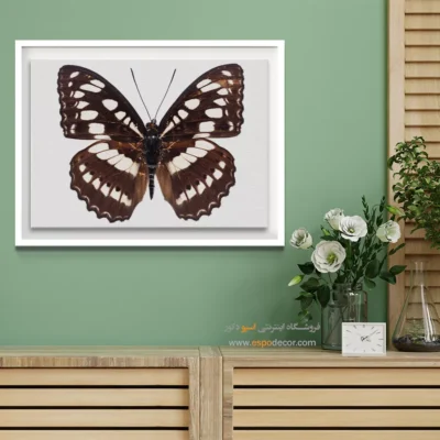 تابلو پروانه - اسپو دکور