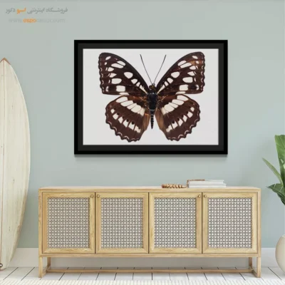 تابلو پروانه - اسپو دکور