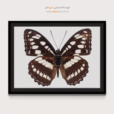 تابلو پروانه - اسپو دکور