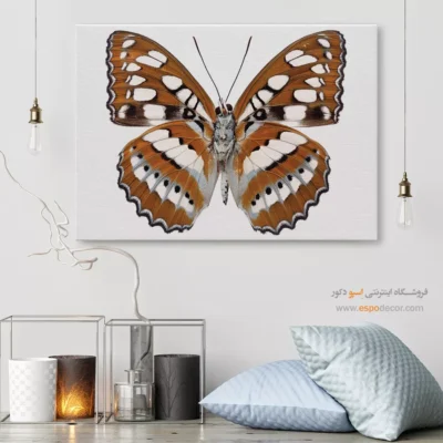 تابلو پروانه - اسپو دکور