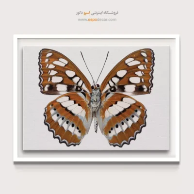 تابلو پروانه - اسپو دکور