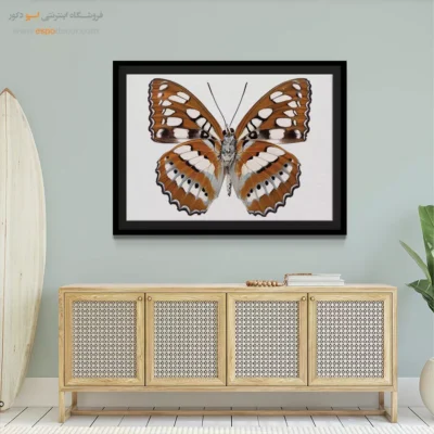 تابلو پروانه - اسپو دکور