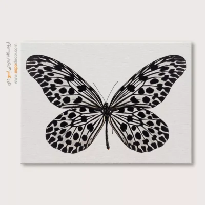 تابلو پروانه - اسپو دکور