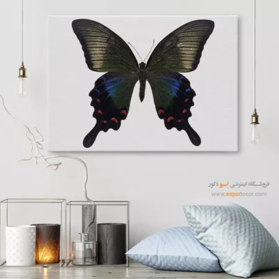 تابلو پروانه - اسپو دکور