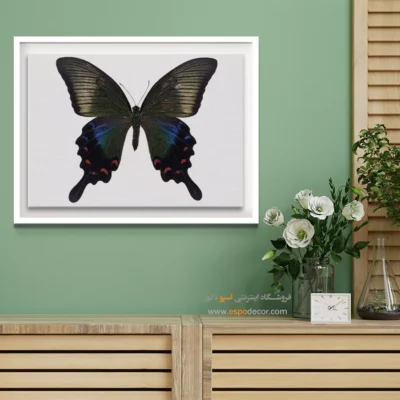 تابلو پروانه - اسپو دکور
