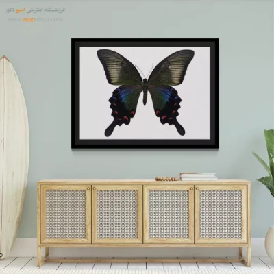 تابلو پروانه - اسپو دکور