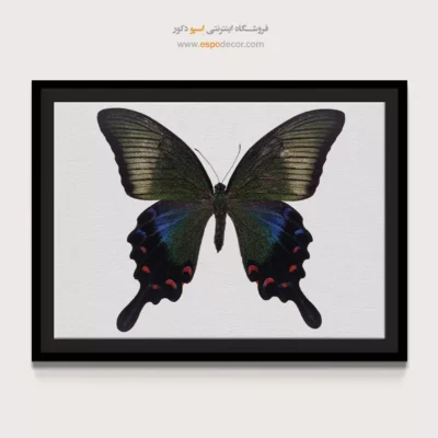 تابلو پروانه - اسپو دکور